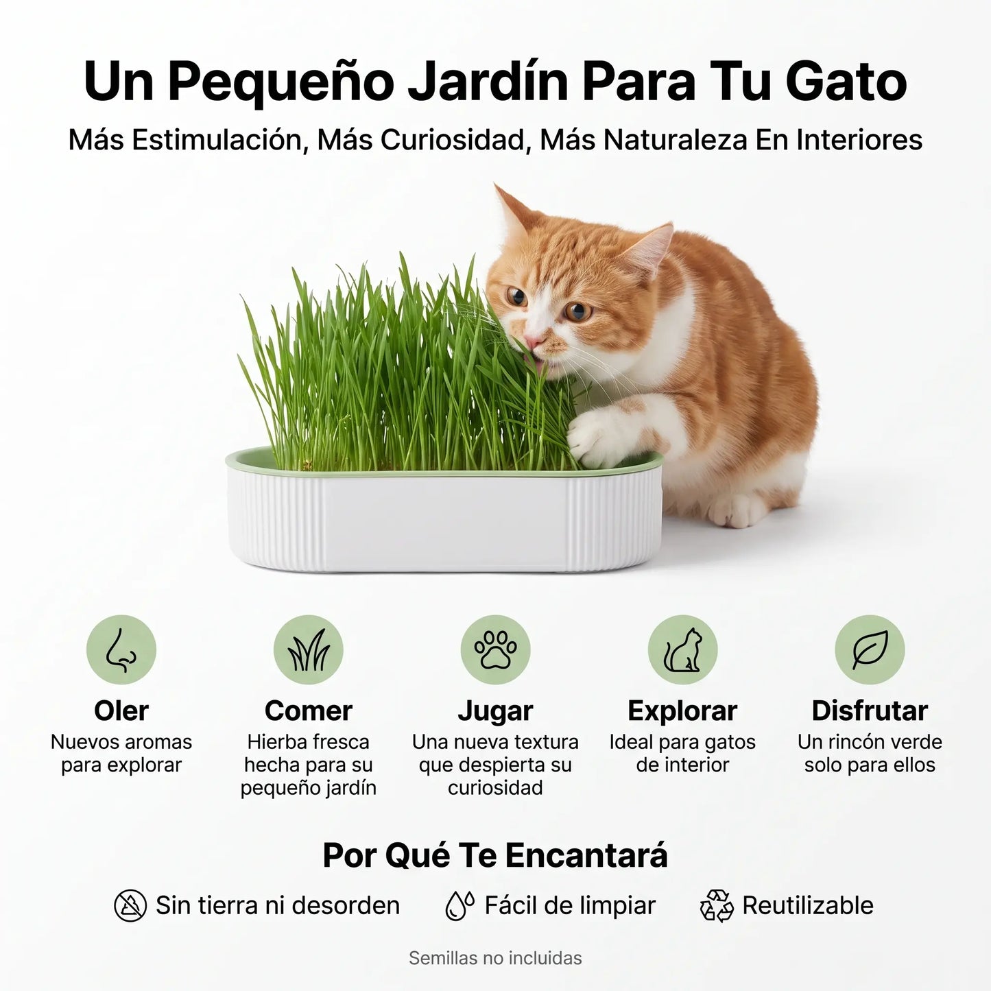MichiGrass™ Jardín para Gatos de Interior