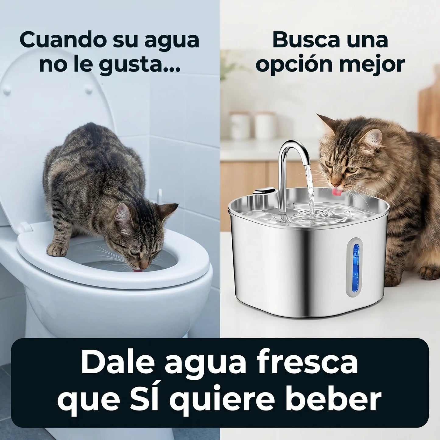 MichiSteel™ Bebedero de Acero Quirúrgico