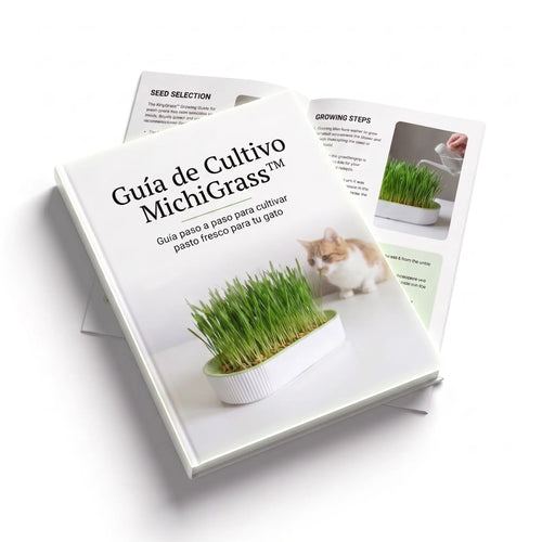 Guía de Cultivo MichiGrass™
