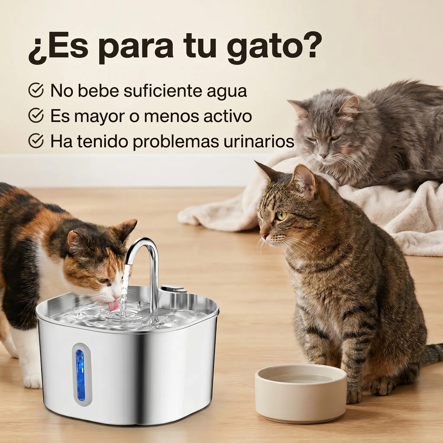 MichiSteel™ Bebedero de Acero Quirúrgico